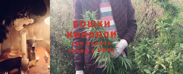 СК Горняк