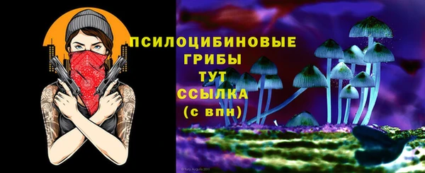 крисы Вяземский