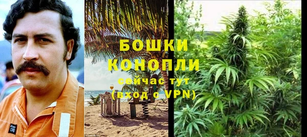 крисы Вяземский