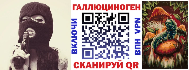 Псилоцибиновые грибы Psilocybine cubensis  Озёры 